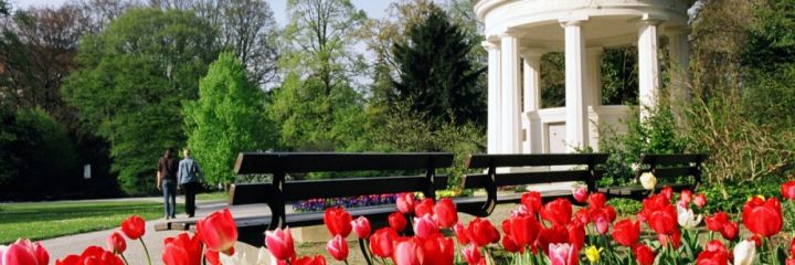 Blumenpracht im Kurpark