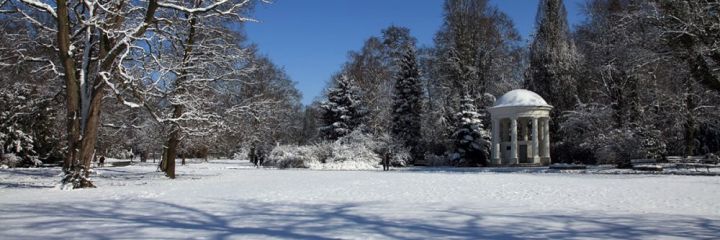 Winterzauber im Kurpark